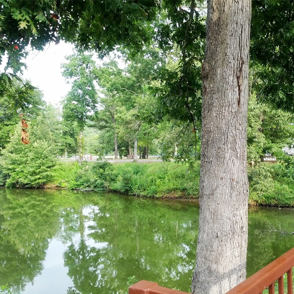 Bear Creek RV Park in Seward, Alaska