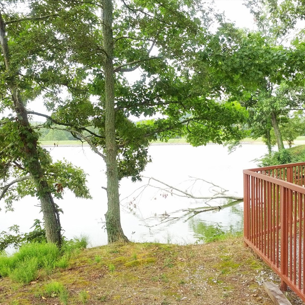 Bear Creek RV Park — photo 2