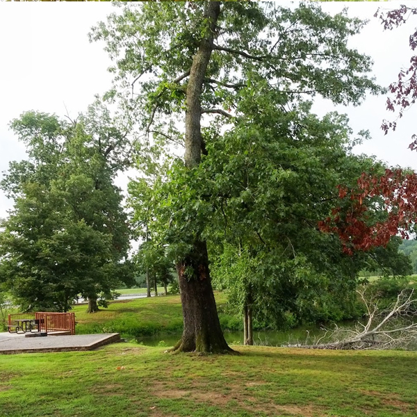 Bear Creek RV Park — photo 4