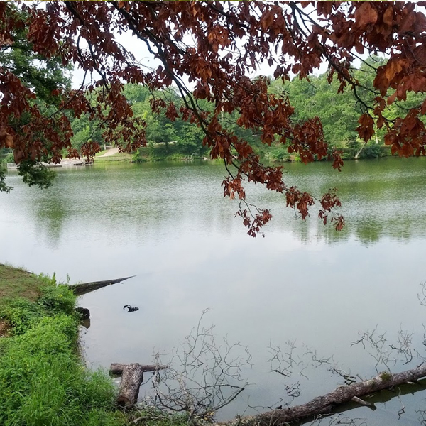Bear Creek RV Park — photo 5