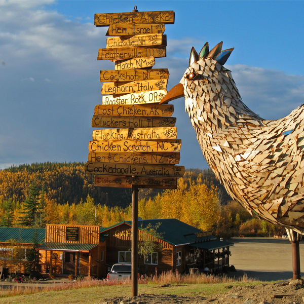 Chicken Gold Camp and Outpost — view 1