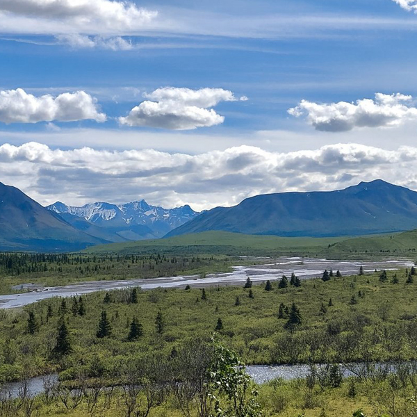 Denali Rainbow Village & RV Park — photo 5