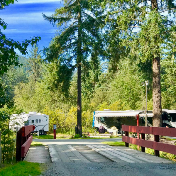 Glacier Nalu Campground near Mendenhall Glacier in Juneau, Alaska