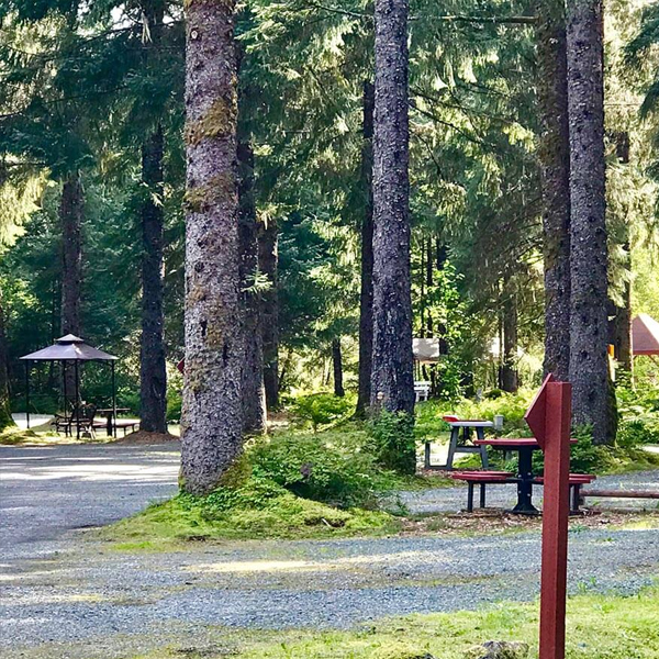 Glacier Nalu Campground — photo 3