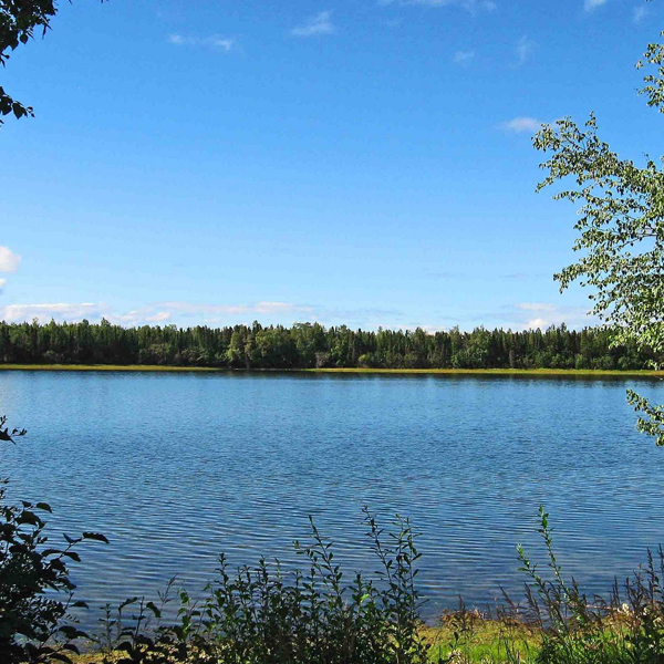 Grizzly Lake Campground — photo 2
