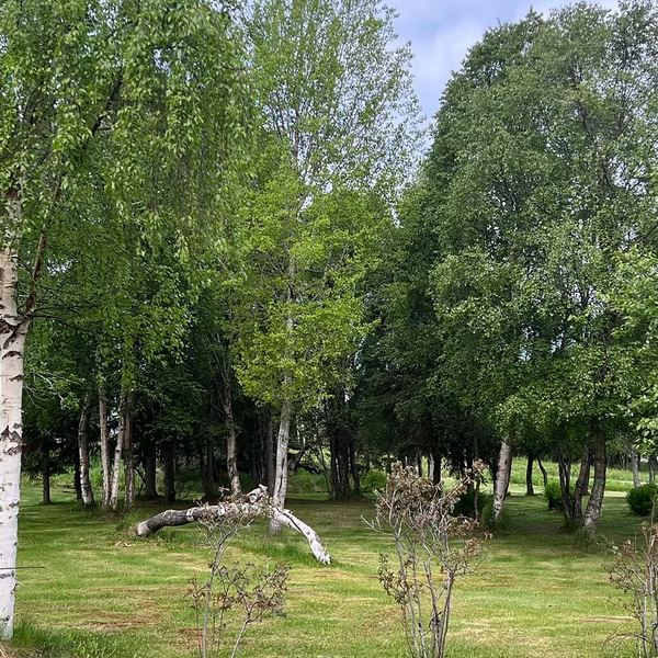 K-Beach Campground and Storage in Kenai, Alaska
