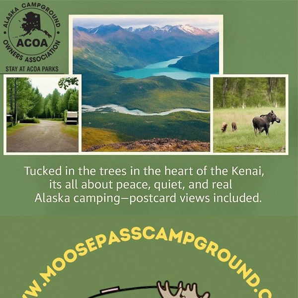 Moose Pass Campground — photo 2