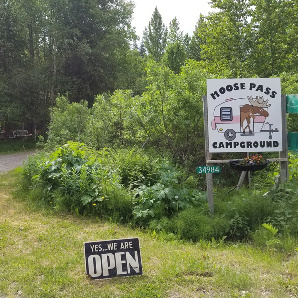 Moose Pass Campground — photo 3