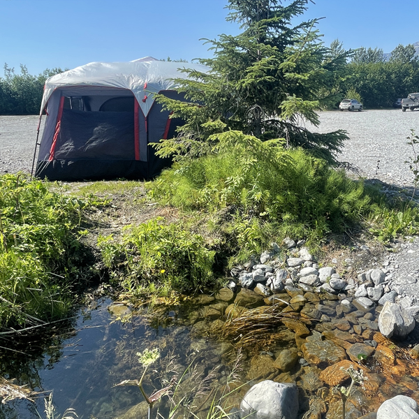 Nash Bayfront Campground — photo 3