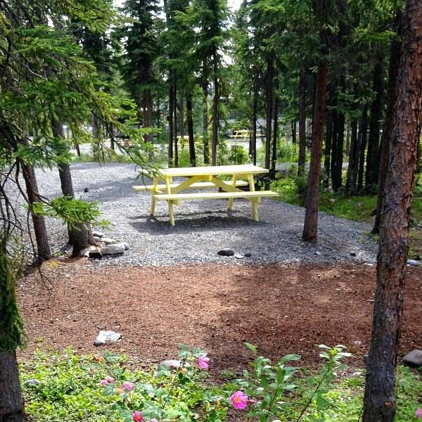 Northern Nights Campground RV Park & Cabins — photo 3