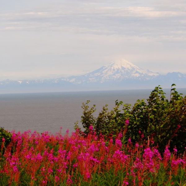 Scenic View RV Park — photo 4