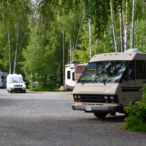 Talkeetna Camper Park — photo 2