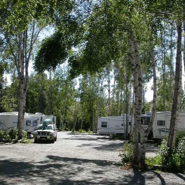 Talkeetna Camper Park — photo 3