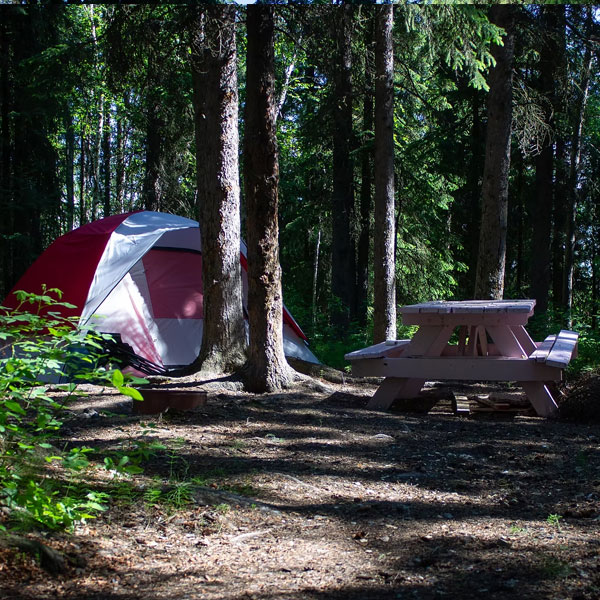 Tanana Valley Campground & RV Park — photo 3