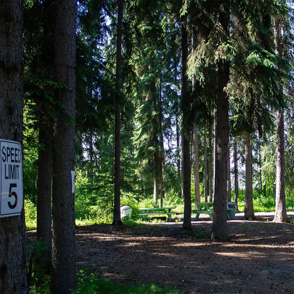 Tanana Valley Campground & RV Park — photo 4