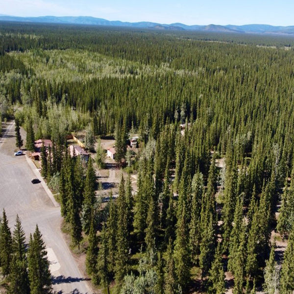 Tundra RV Park & Bar — photo 2